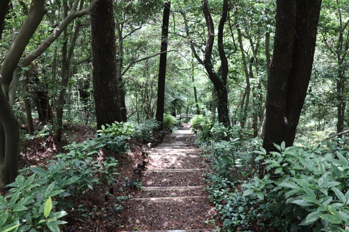 岩南公園の散策路