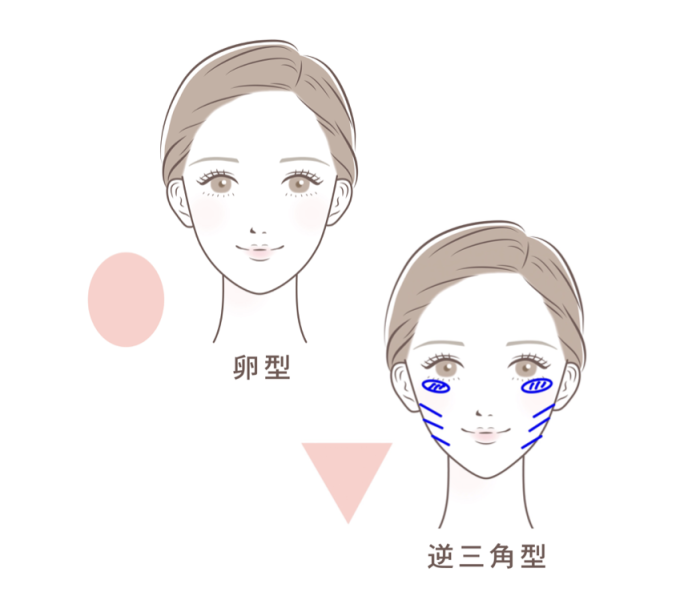 骨格メイク