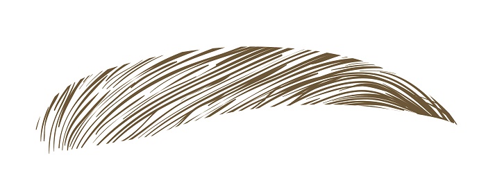 眉毛1