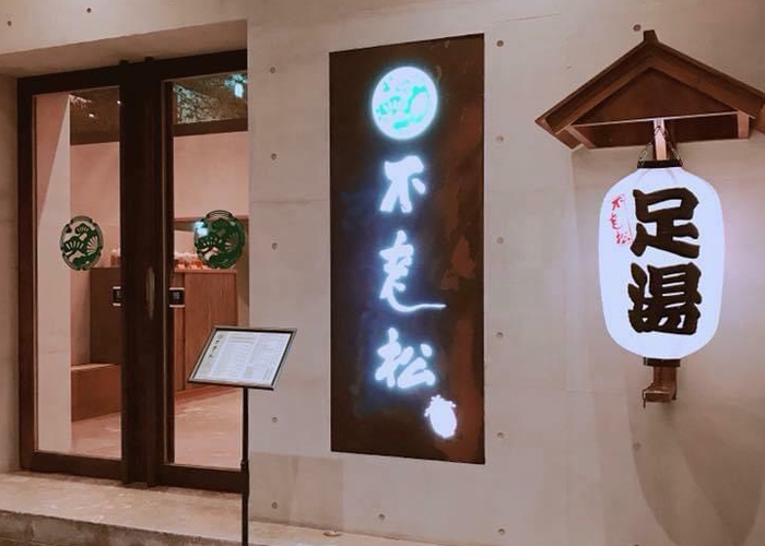 不老松