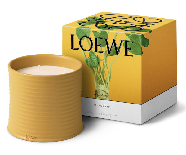 LOEWE ロエベ　キャンドル　わさび　WASABI ミディアム ロエベ パルファムに新作「ワサビ」が登場。グリーンアロマの爽やかで