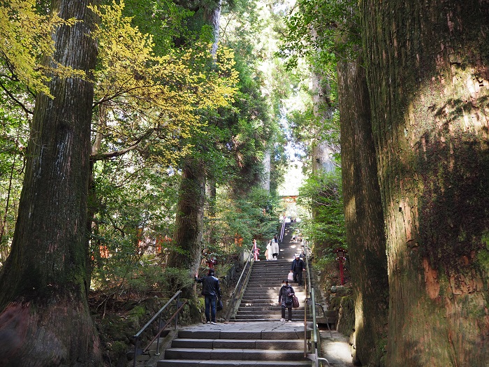 箱根神社