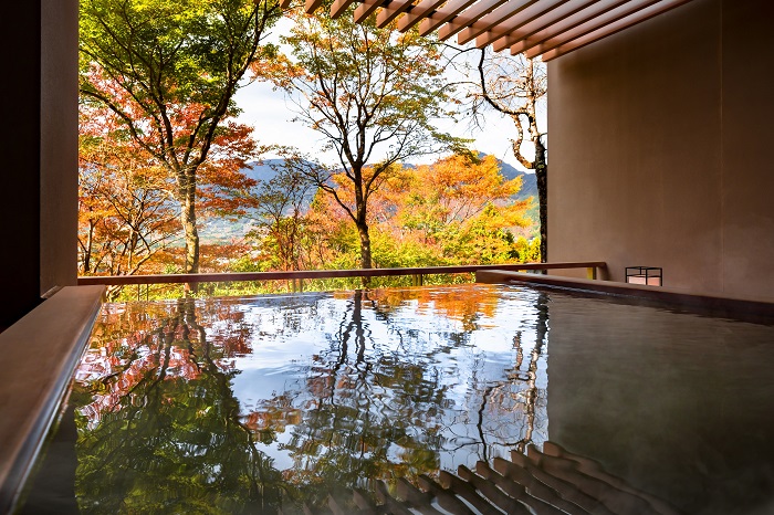 【界-仙石原】客室露天風呂_紅葉