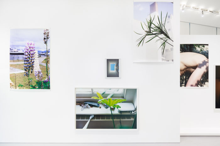 WOLFGANG TILLMANS MOMENTS OF LIFE