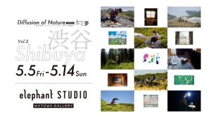 WATOWA GALLERY